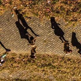Students walking down path